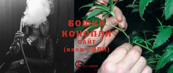 индика Лихославль