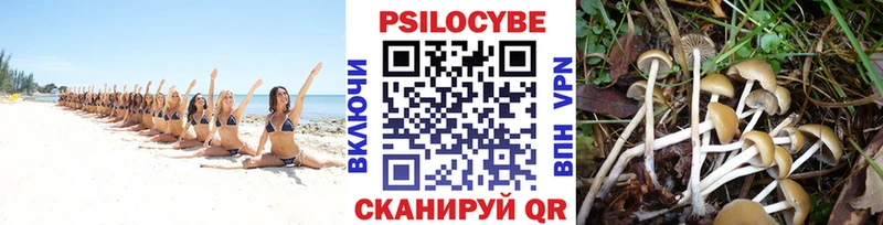 Галлюциногенные грибы MAGIC MUSHROOMS закладка Армавир
