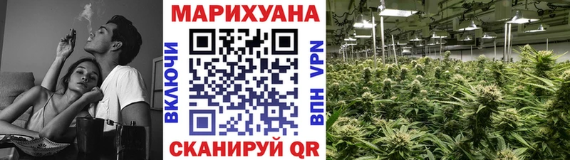 Бошки Шишки гибрид Армавир